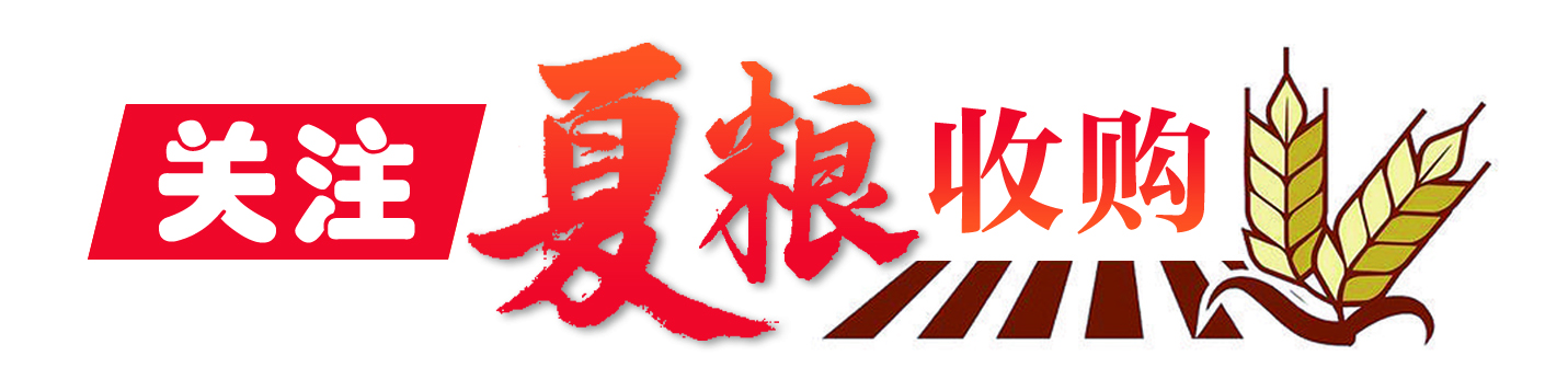 夏粮07.jpg